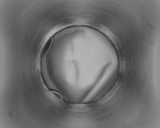 X0000112771342200910011228