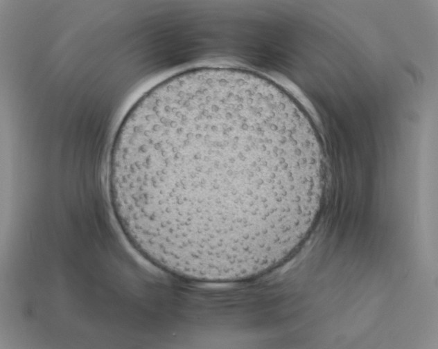 X0000112771343200910011228