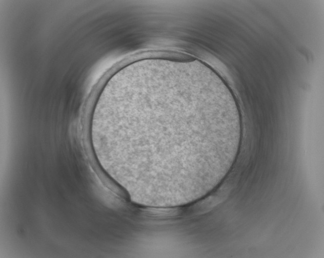 X0000112771344200910011228