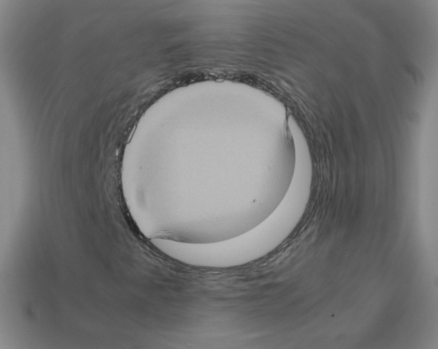 X0000112771345200910011228