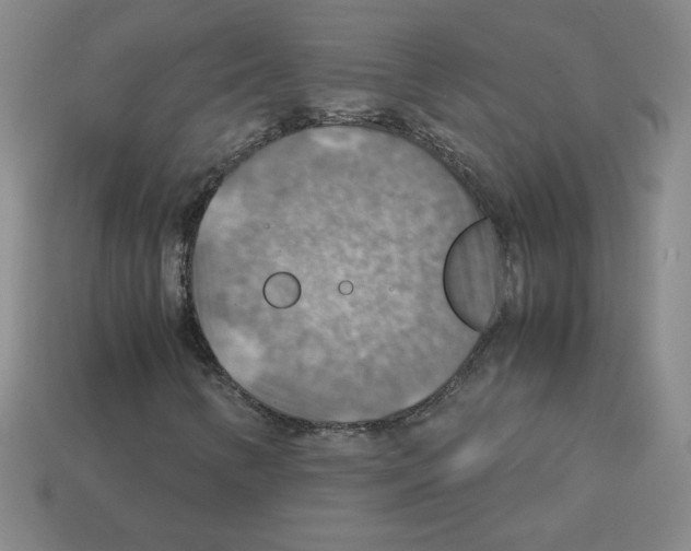 X0000112771346200910011228