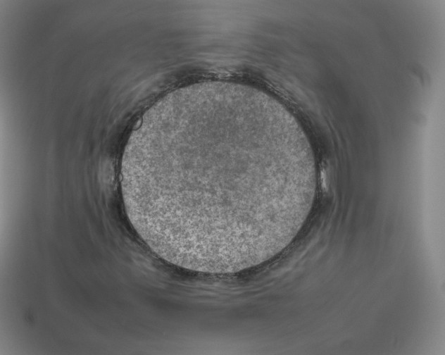 X0000112771347200910011228