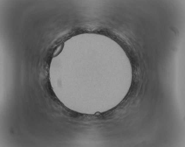 X0000112771349200910011228