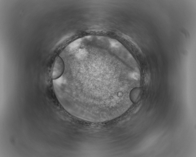 X0000112771350200910011228