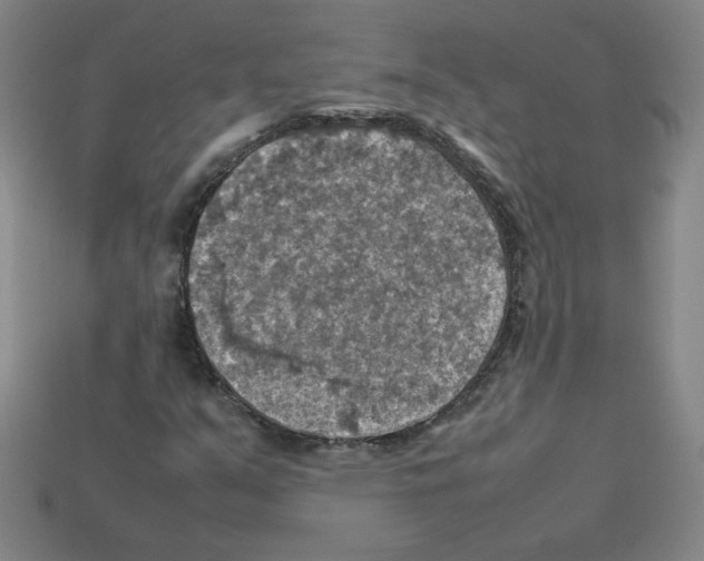 X0000112771351200910011228