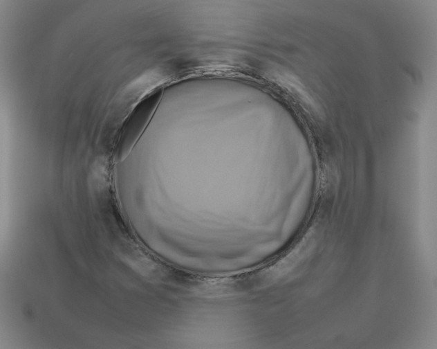 X0000112771353200910011228