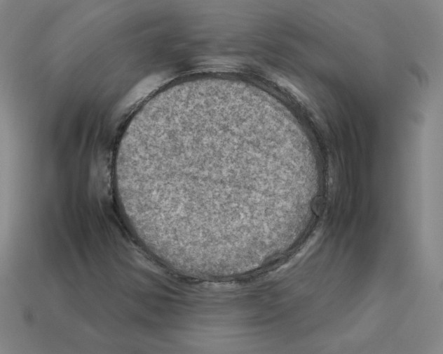 X0000112771354200910011228