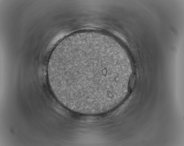 X0000112771355200910011228