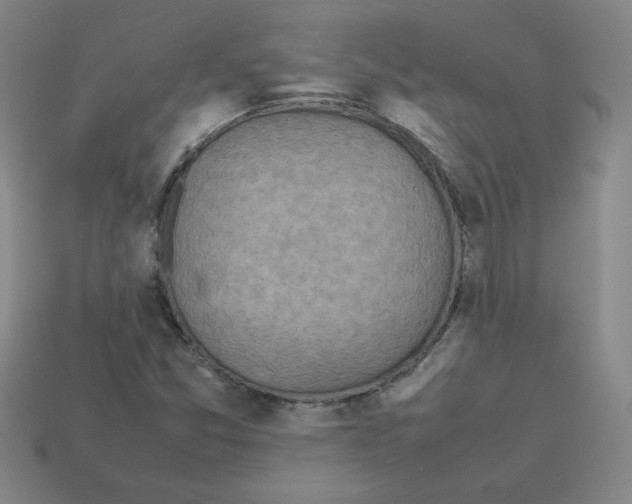 X0000112771357200910011228