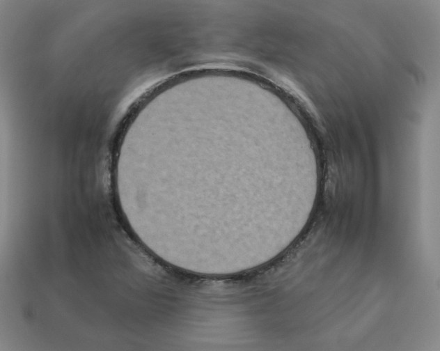 X0000112771360200910011228