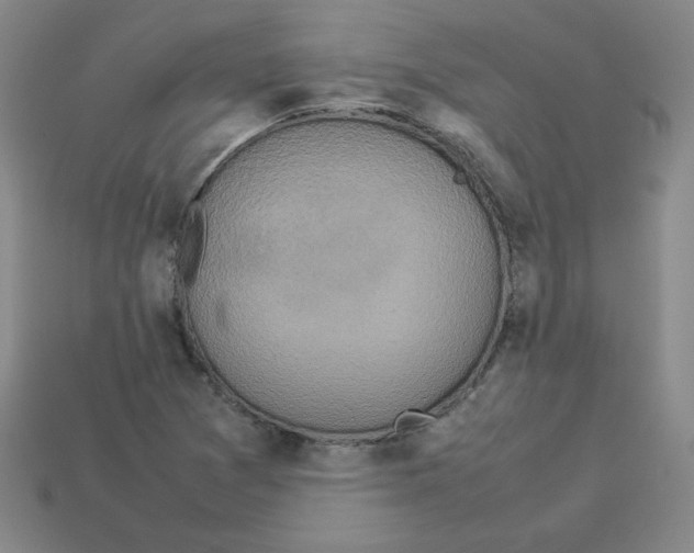 X0000112771361200910011227