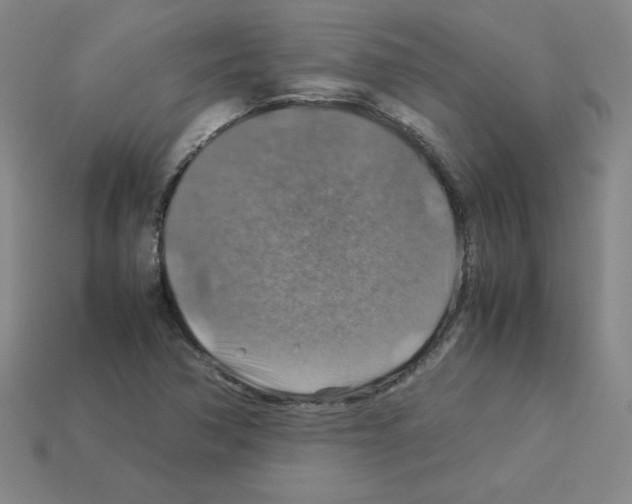 X0000112771362200910011227