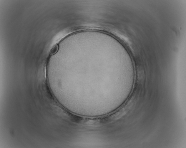 X0000112771365200910011227