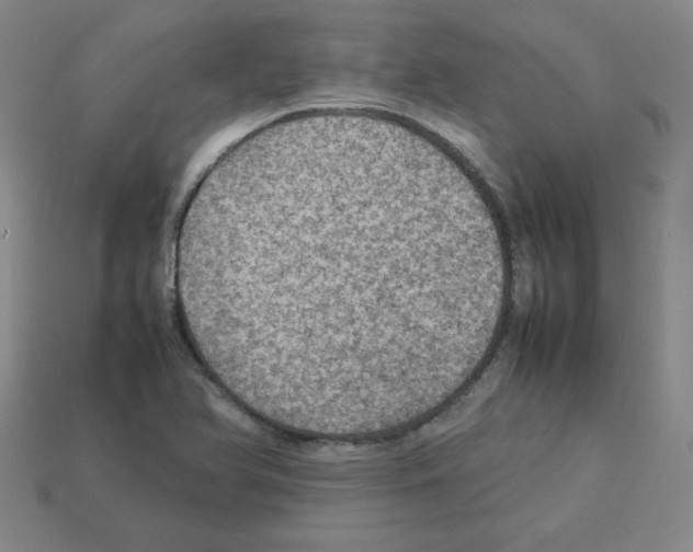 X0000112771366200910011227