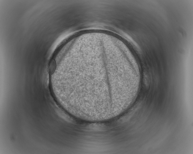 X0000112771368200910011227