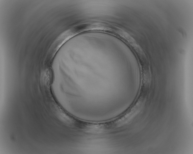 X0000112771369200910011227