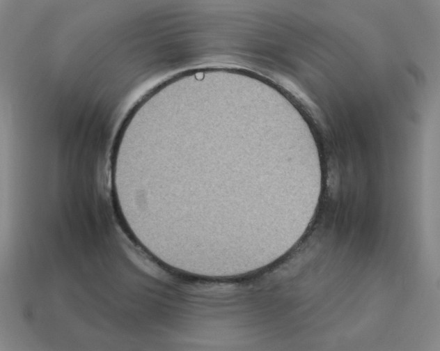 X0000112771372200910011227