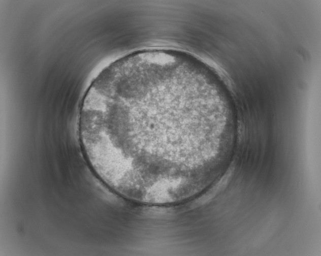 X0000112771374200910011227