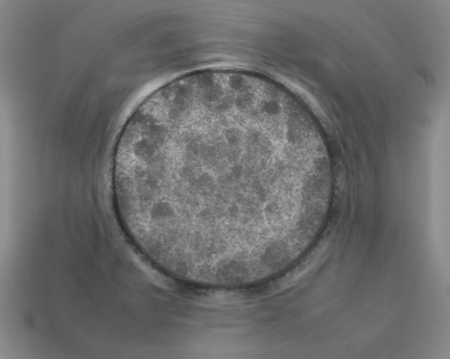 X0000112771375200910011227