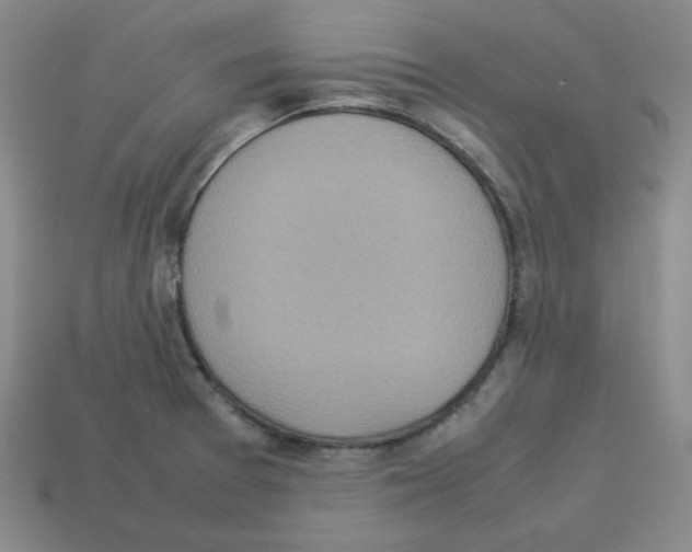 X0000112771377200910011227