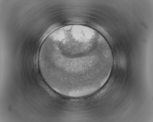 X0000112771378200910011227