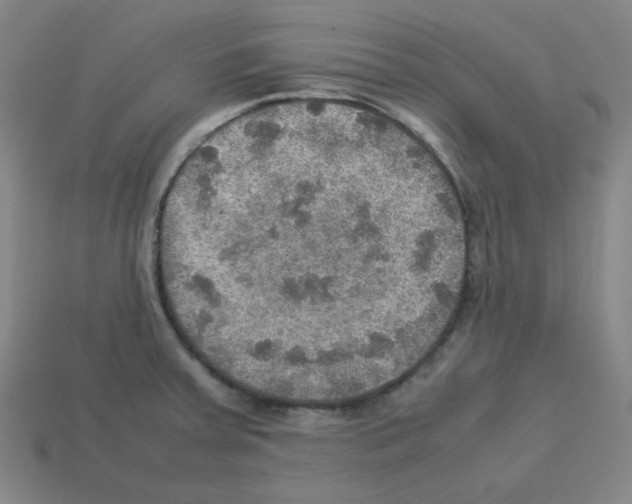 X0000112771379200910011227