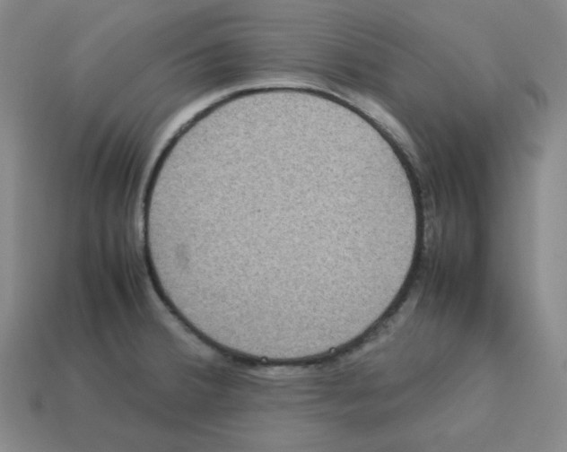 X0000112771380200910011227