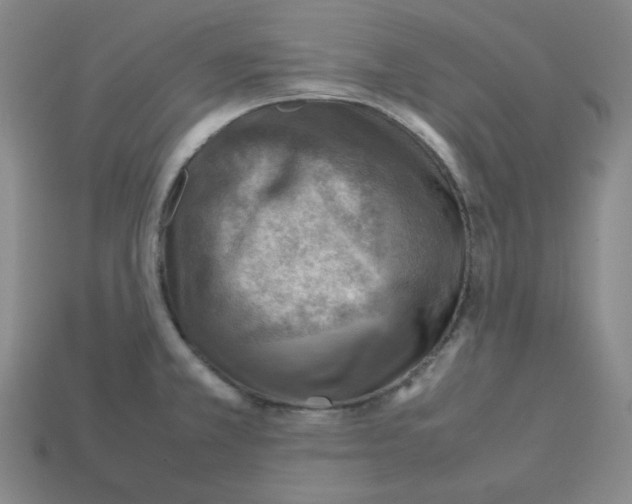 X0000112771381200910011227