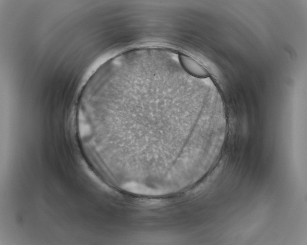 X0000112771382200910011227