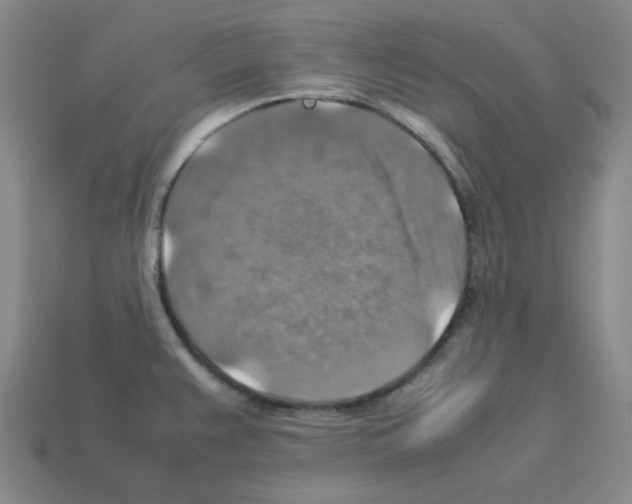 X0000112771383200910011227