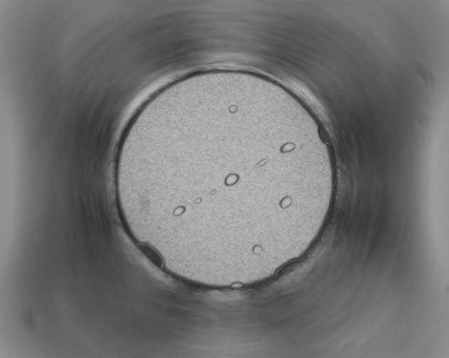 X0000112771384200910011227