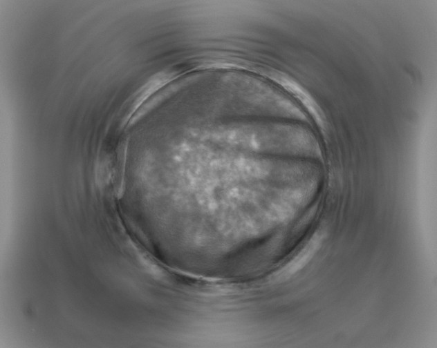 X0000112771385200910011227