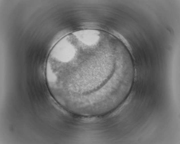 X0000112771386200910011227