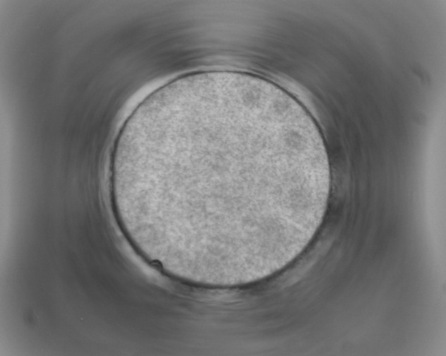 X0000112771387200910011227