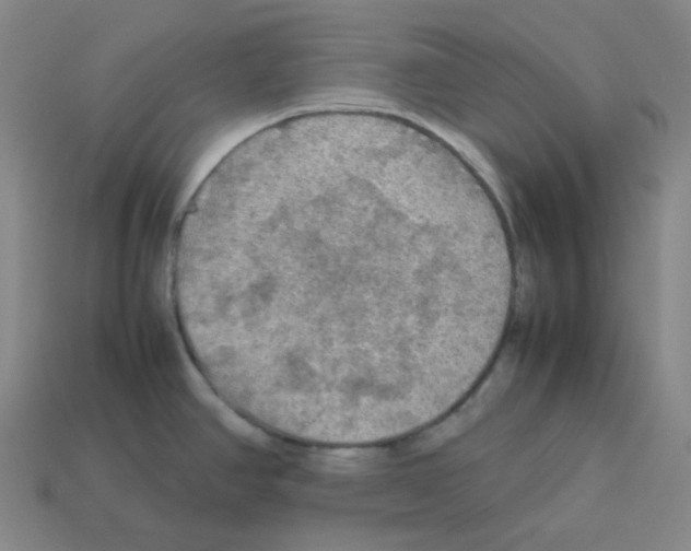 X0000112771390200910011227