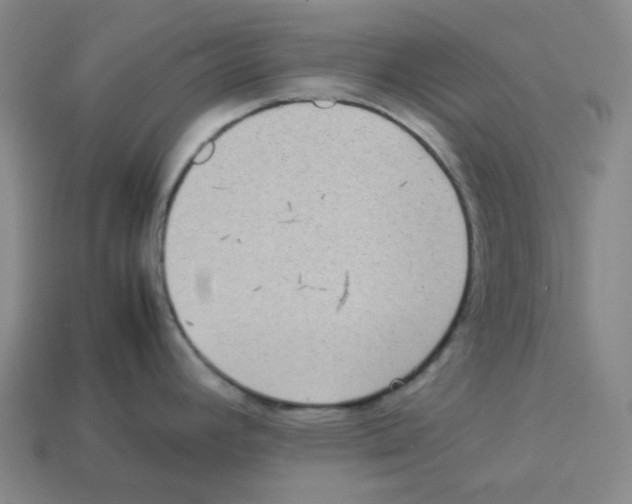 X0000112771392200910011227