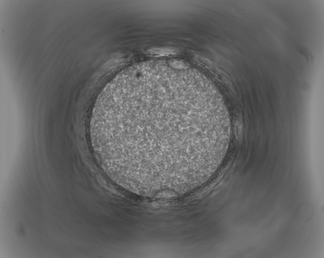 X0000112771393200910011226