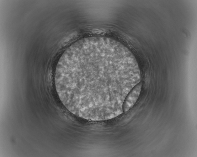 X0000112771394200910011227