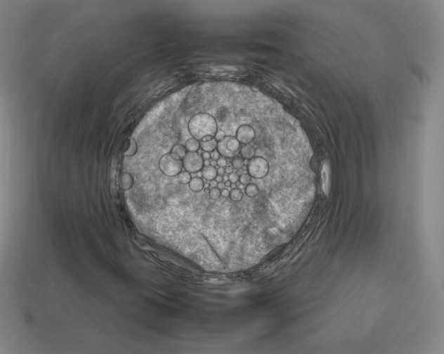 X0000112771395200910011227