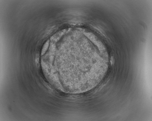 X0000112771396200910011227