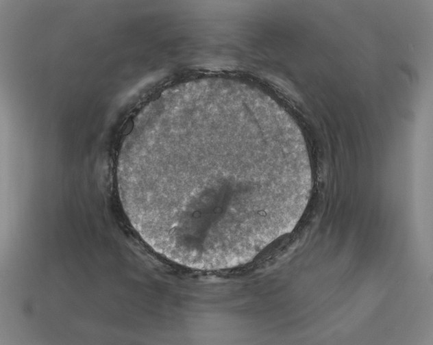 X0000112771398200910011227