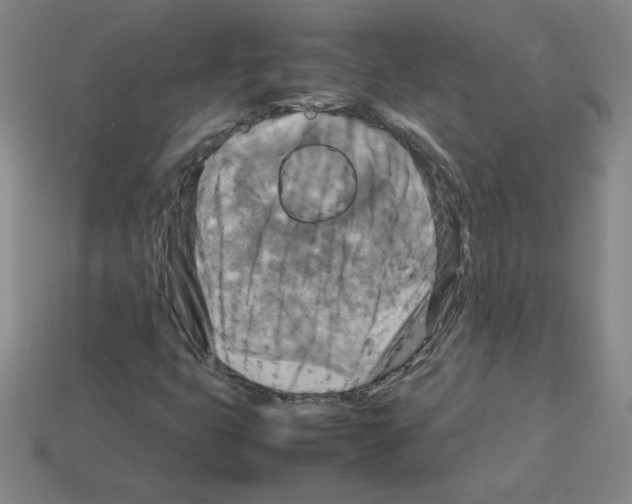 X0000112771399200910011227