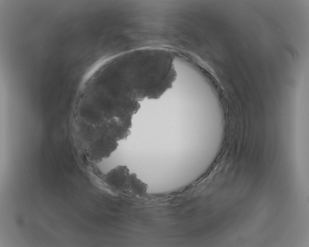 X0000112771400200910011227