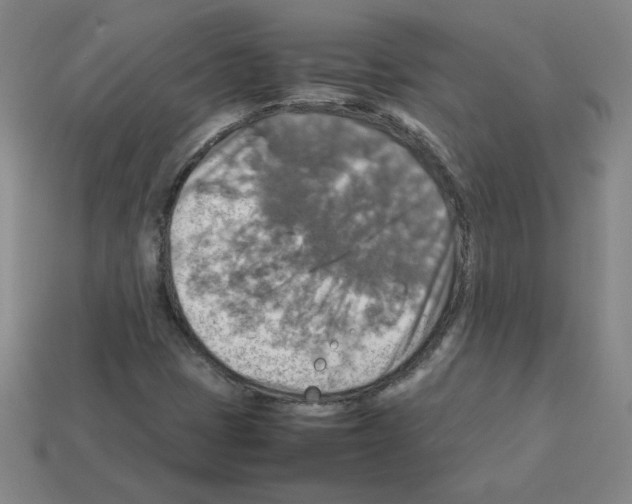 X0000112771401200910011227