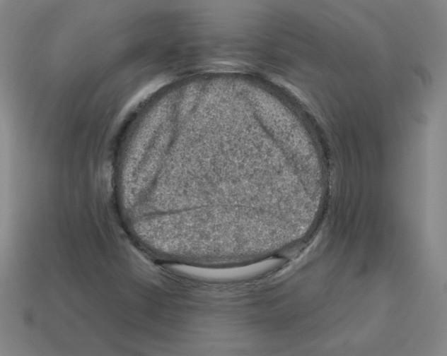 X0000112771402200910011227