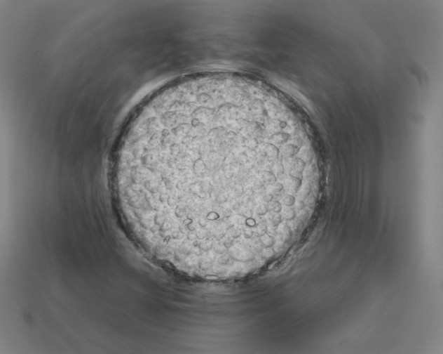 X0000112771404200910011227