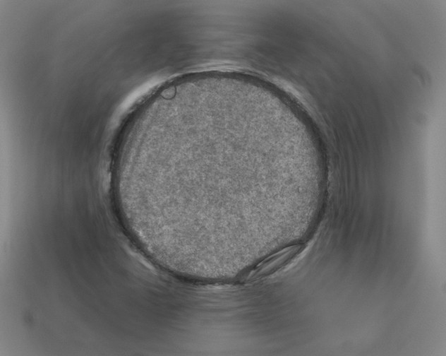 X0000112771406200910011227