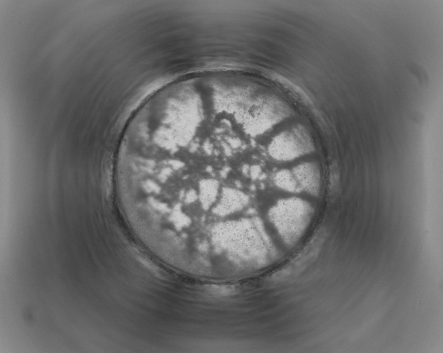 X0000112771409200910011227