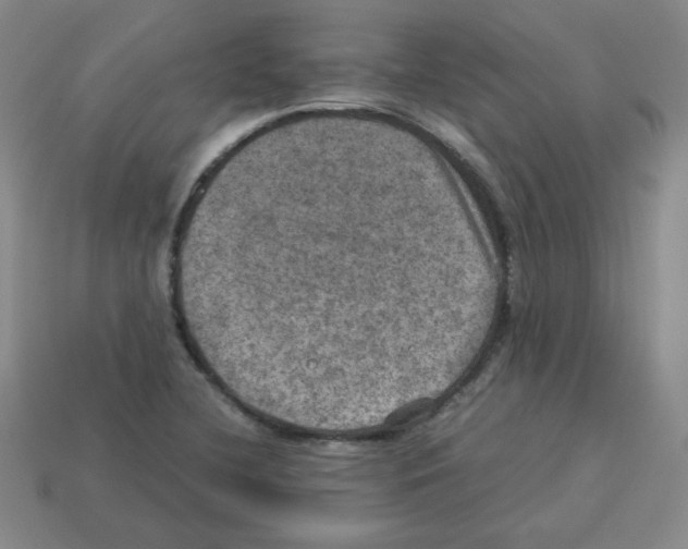 X0000112771412200910011227