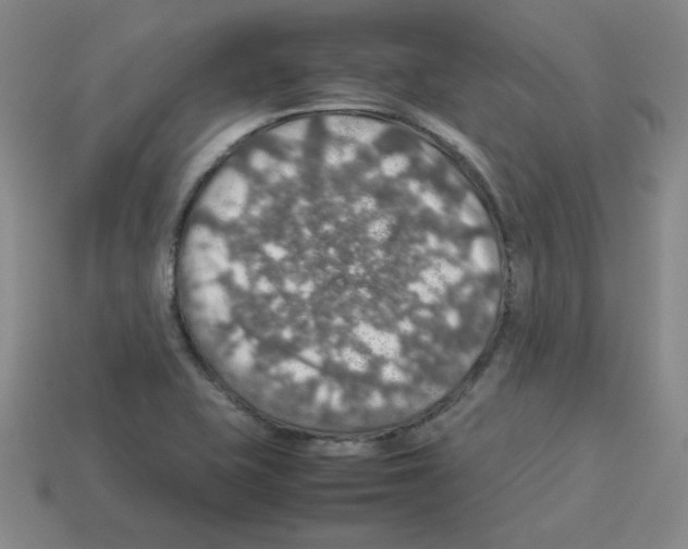 X0000112771415200910011227